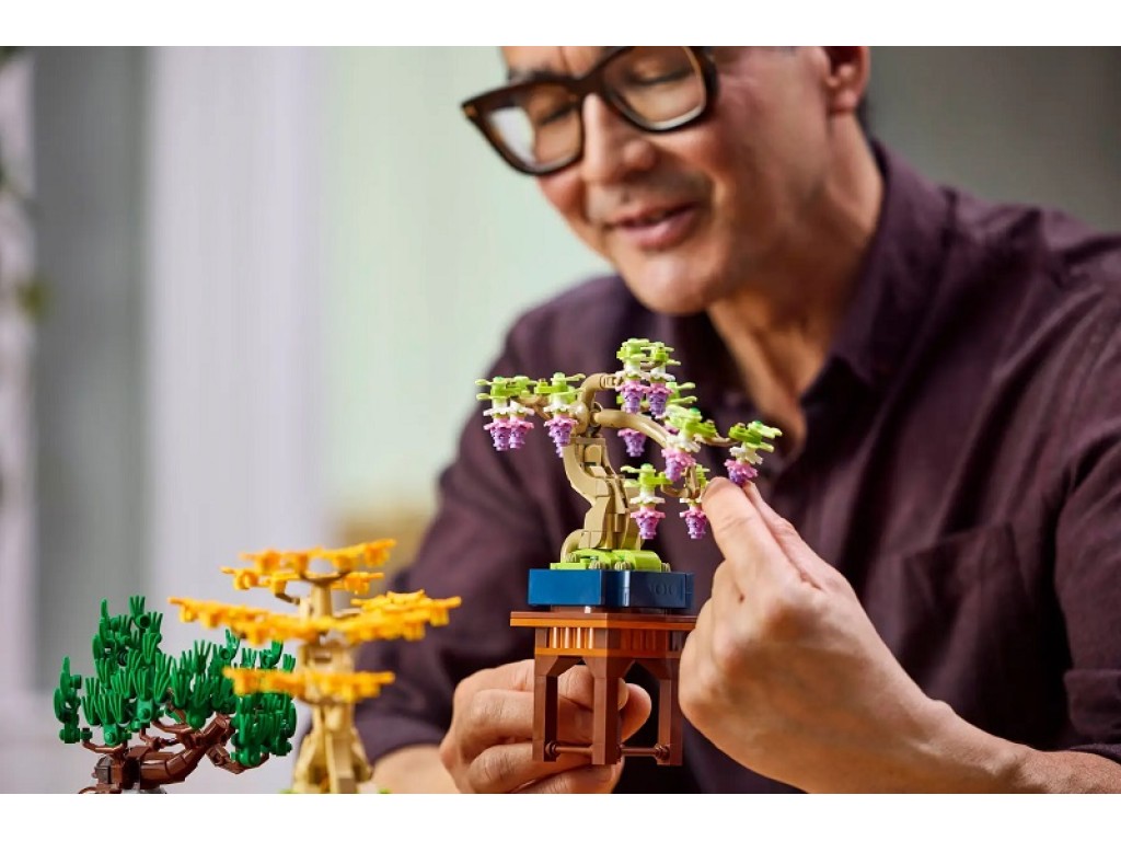 10373 LEGO Botanicals Мини-деревья бонсай