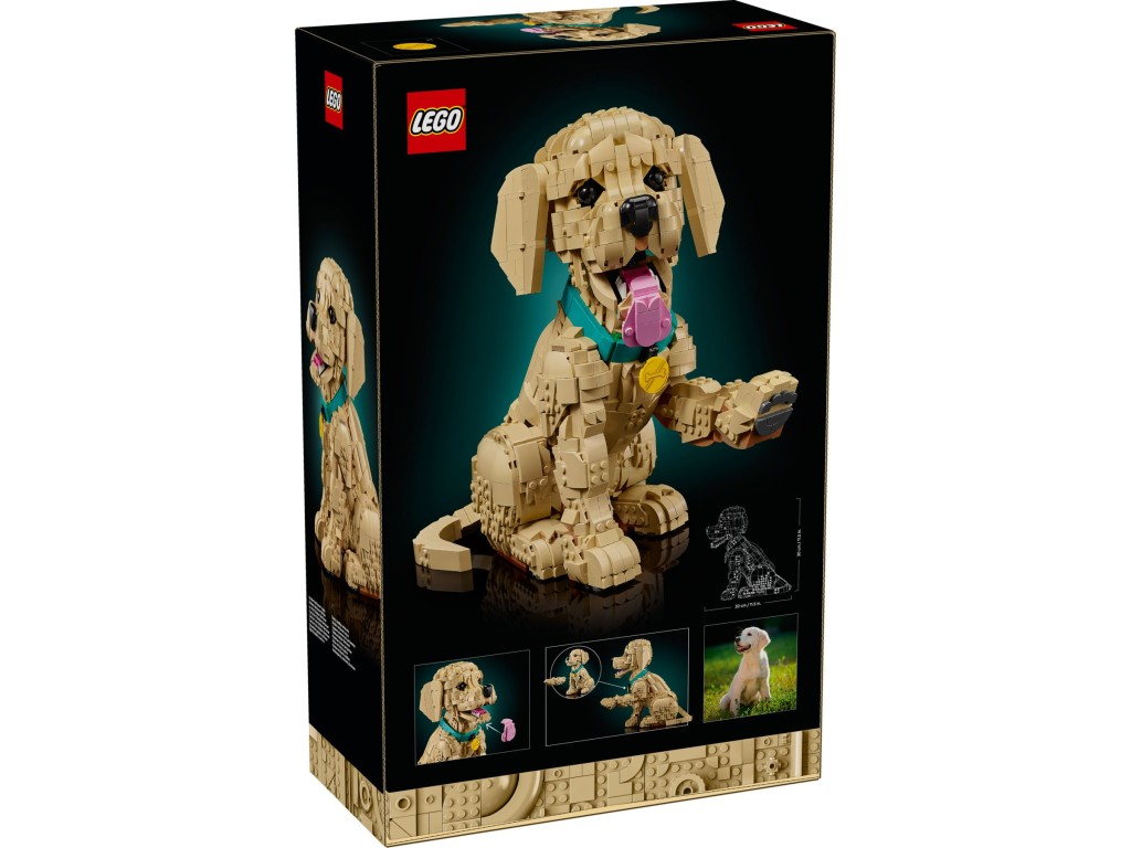 11384 LEGO ICONS Щенок золотистого ретривера