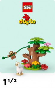 Duplo