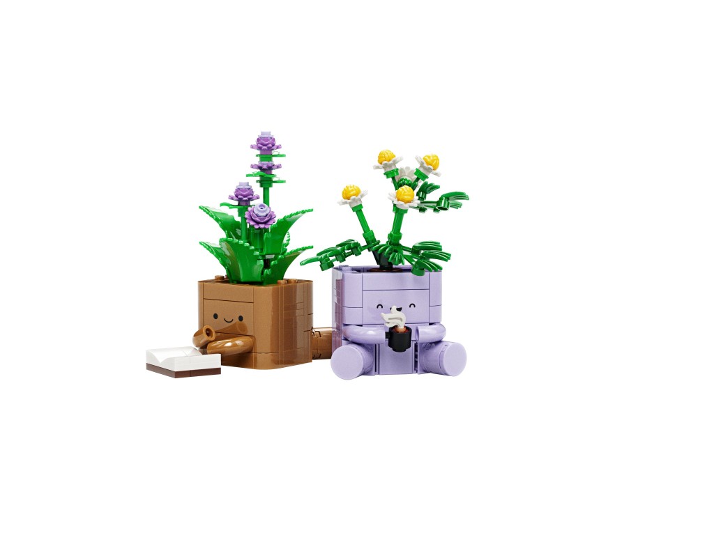 10371 LEGO Botanicals Уютные растения