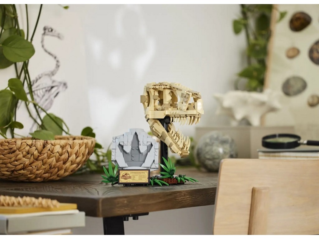 Конструктор LEGO Jurassic World 76964 Скелеты динозавров - череп тираннозавра