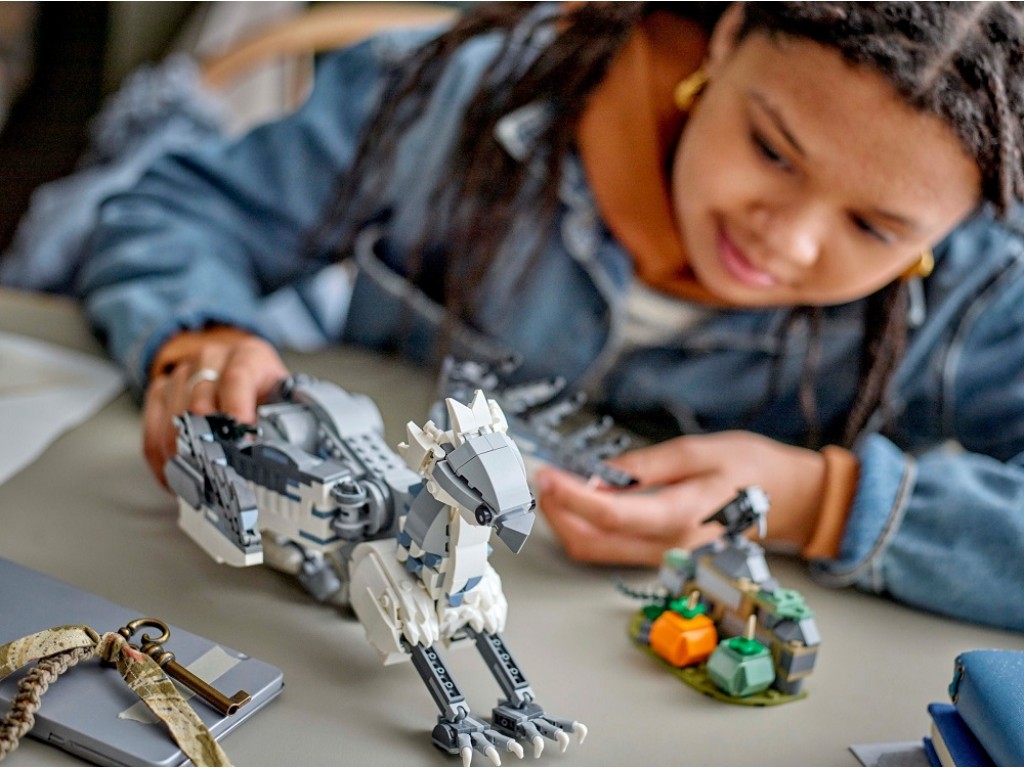 LEGO Harry Potter 76427 Клювокрыл