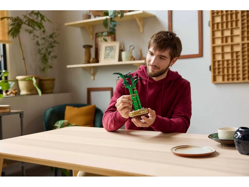 LEGO 10344 Драцена Сандера