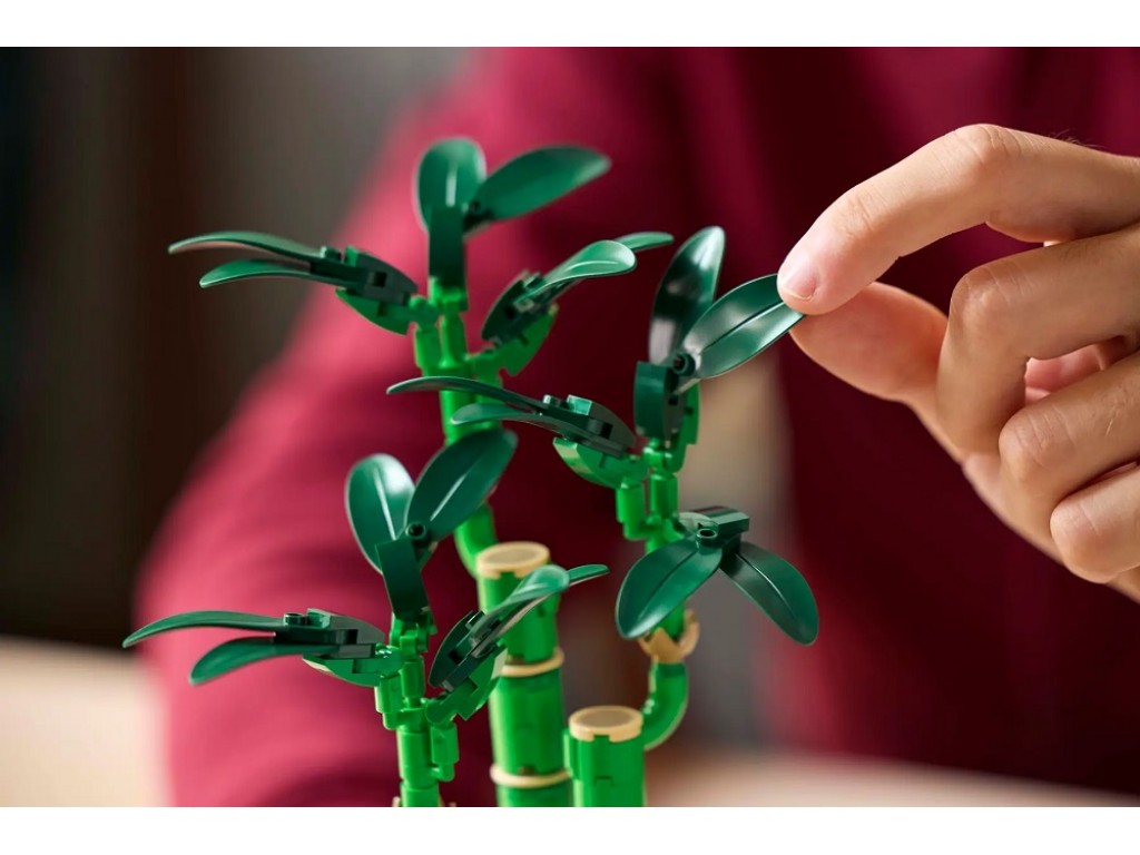 LEGO 10344 Драцена Сандера